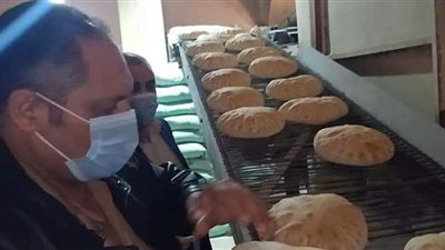 تحرير ٩ محاضر في حملة على مخابز بنى عبيد بالدقهلية | صور