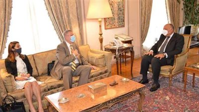 وزير الخارجية: مصر تسعى لوحدة ليبيا وخروج المرتزقة والمقاتلين الأجانب