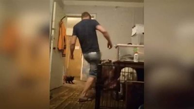 منع مصادرة حيوانات المدينين الأليفة في روسيا