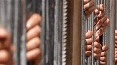 تجديد حبس المتهمة الثانية بسرقة 60 جهاز «آيفون» من شركة بكرداسة