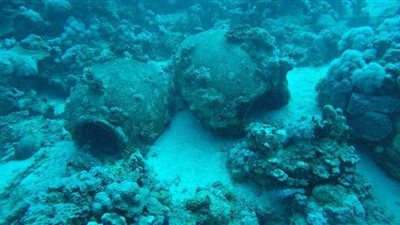 بعثة آداب الإسكندرية تنجح في الكشف عن مقدمة السفينة الغارقة بجزيرة سعدانا