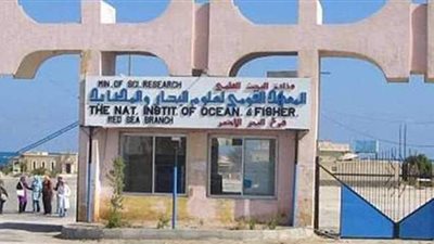 «التأديبية» تقرر أحقية رئيس المعهد القومي لعلوم البحار بصرف مستحقاته المالية