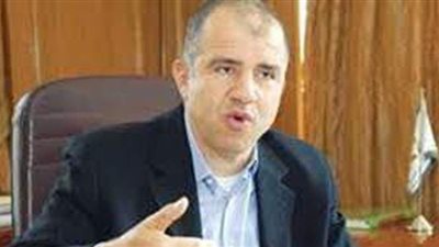 السويدي يناقش مع السفير الهندي الفرص المتاحة للاستثمار في مصر