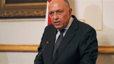 من يمول سد النهضة؟.. وزير الخارجية يجيب