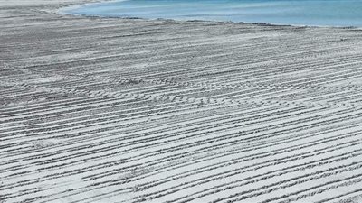 رفع كفاءة وتنظيف شواطئ مطروح استعدادا لموسم الصيف |صور