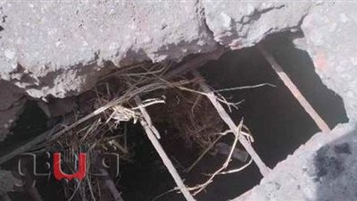 محافظ الشرقية يوجه بإجراء صيانة عاجلة لأحد الكباري بكفر صقر