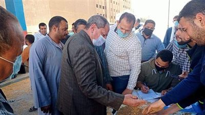 بدء توريد محصول القمح بالمنيا