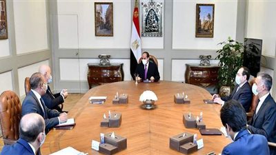 السيسي يستقبل رئيس شركة 