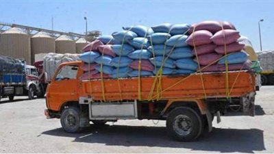توريد 702 طن من القمح إلى صوامع المنيا