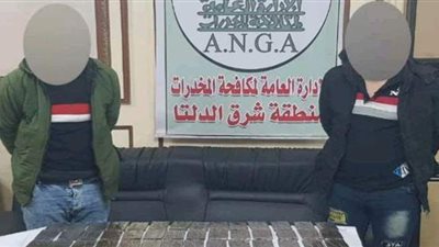 إحباط ترويج 80 طربة حشيش في الدقهلية والبحيرة