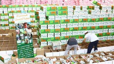 تضامن الوادى الجديد توزع مواد غذائية ولحوم على الحالات الأولى بالرعاية