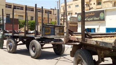 لإعاقتها حركة المرور.. ضبط 5 قاطرات قصب في الأقصر