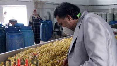 إعدام طني أغذية فاسدة وغلق ١٩ منشأة غير مرخصة بالشرقية