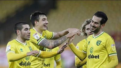 نورويتش سيتي أول الصاعدين للدوري الإنجليزي الممتاز