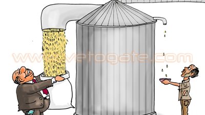 «فساد صوامع القمح» في كاريكاتير «فيتو»