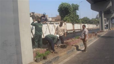 رفع 7369 طن مخلفات في حملة مكبرة بالجيزة | صور