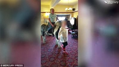 بالفيديو والصور.. عجوز يقتحم مطعما بحصان