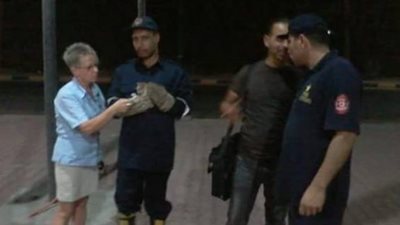 بالصور.. «الشرطة في خدمة الحيوان».. نجدة الغردقة تستدعي الحماية لإنقاذ قطة.. مساعد وزير الداخلية يكلف ضباط المترو بإخراج أخرى من شقوق الجدران.. وشرطة العمرانية تنجح في إنزال «هرة» 