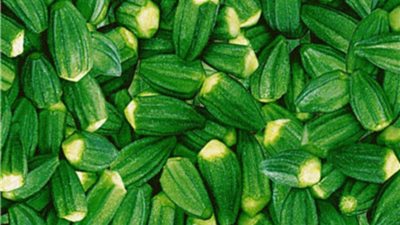 «البامية» تسجل 8 جنيهات بسوق العبور.. اليوم