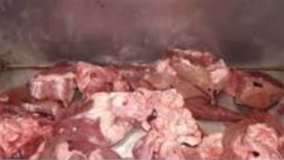 ضبط نصف طن لحوم فاسدة داخل محل شهير بطنطا