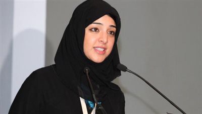 الإمارات تبحث الأزمة اليمنية مع مسئولين أمريكيين وأمميين