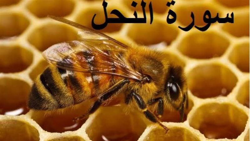 سورة النحل