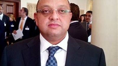 الزيادى: إصدار «قانون الاستثمار الموحد» يجذب رجال الأعمال العرب