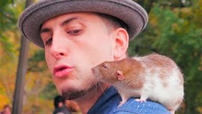 بالفيديو.. رد فعل الزبائن لحظة مشاهدتهم فئران بعربة طعام