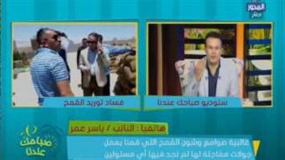 بالفيديو.. «تقصي الحقائق»: 240 مليون جنيه قيمة «فساد القمح» بـ7 مواقع