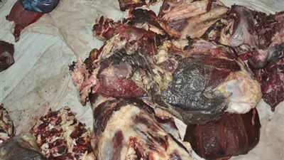 ضبط 25 كيلو لحوم فاسدة في الغردقة