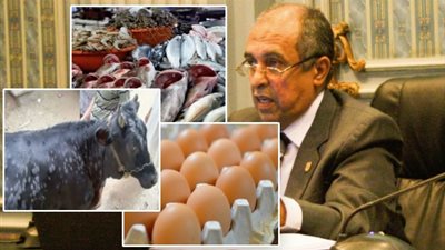 الزراعة تعلن الحرب على الشائعات.. لدينا اكتفاء ذاتي من البيض.. الجلد العقدي تحت السيطرة.. لا نستورد أسماكا من الصين.. لم نتلق شكاوى عن فساد أمصال المواشي.. والأسواق خالية من البطيخ المسرطن
