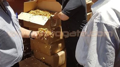بالصور.. إحباط تهريب كمية من الدخان الخام بجمارك الإسكندرية