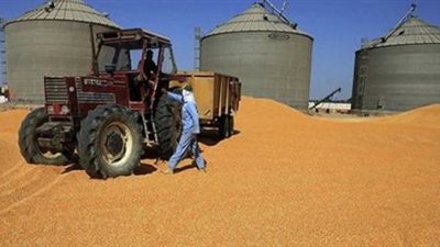 «تقصي القمح»: 234 مليون جنيه حجم الفساد في الصوامع