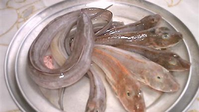 «سمك ثعابين» يسجل 110 جنيهات بسوق العبور