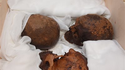 عبد المنعم: تشكيل لجنة لترميم وتجميع الهياكل المكتشفة بتابوت الإسكندرية