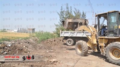 بالصور.. إزالة 70 طن قمامة فى حملة للنظافة بدمنهور
