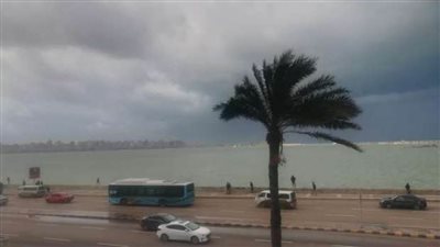 حالة الطقس ودرجات الحرارة اليوم 29 / 12 / 2019 | فيديو