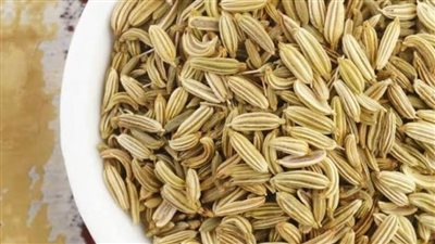 فوائد الشمر.. يطرد الدهون ويحمي من السمنة