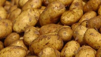 «البطاطس» تسجل 3.5 جنيهات بسوق العبور.. اليوم
