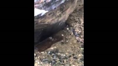 بالفيديو..انفجار عين جديدة من «بئر زمزم» خلال توسعة الحرم المكى