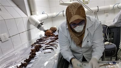 الآثار: فحص هياكل تابوت الإسكندرية لمعرفة هويتها (صور)