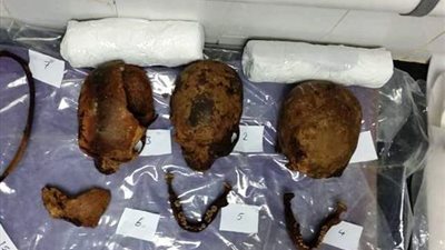 أحدهم شاب مقتول.. الآثار تفحص جماجم وهياكل تابوت الإسكندرية (صور)