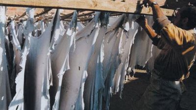 اجتماع مغلق لصناعة الجلود لبحث احتياجات المشروعات الصغيرة