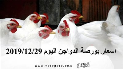اسعار بورصة الدواجن اليوم 2019/12/29