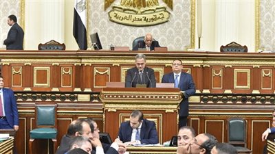 نائب: تعديلات قانون الإدارة المحلية يجب أن تتضمن انتخاب المحافظين والمجلس الأعلى