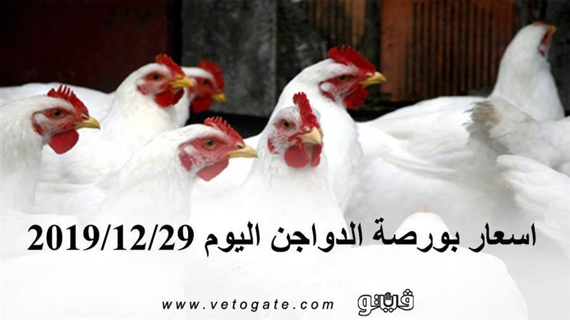 فيتو