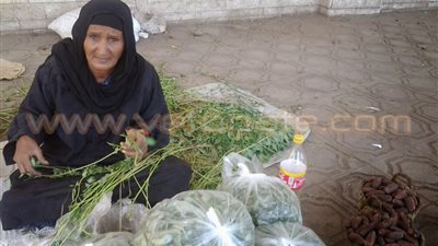 بالفيديو والصور.. 