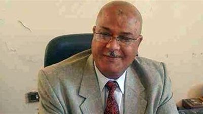 برلماني: الجدية شرط المساهمة المجتمعية في تنفيذ مشروعات الدولة