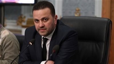 برلماني: تجاهل الملاحظات حول القوانين سبب شبهات عدم دستوريتها