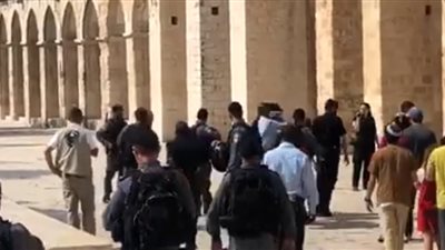 قوات الاحتلال تعتقل طفلا رفع علم فلسطين في وجه المستوطنين (فيديو)